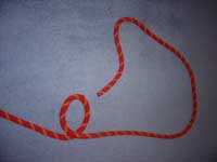 Starting a Bowline.