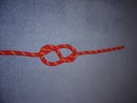 Completed figure 8 knot.